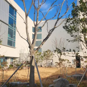 해남126 오시아노호텔 카페 사진 1