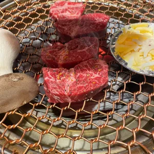 화로우 사진