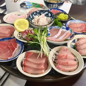 남해물고기 사진