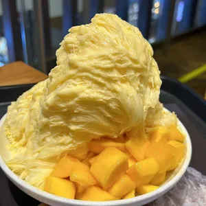 로이즈 사진
