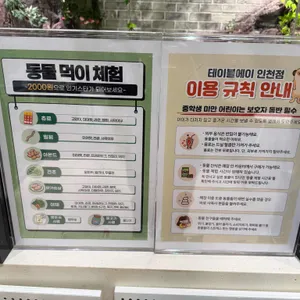 테이블에이 리뷰 사진
