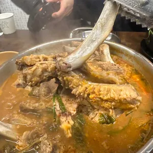 탕자감 사진