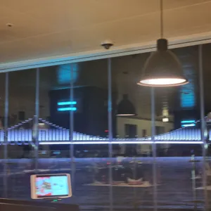 도우개러지 대표 사진