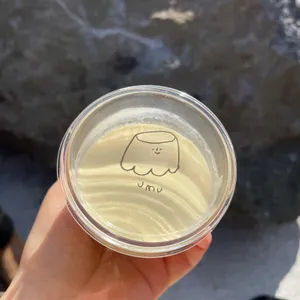 우무 사진