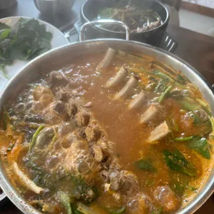 탕자감 사진