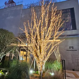 프롬나드 리뷰 사진
