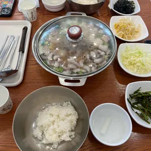 개미집 사진