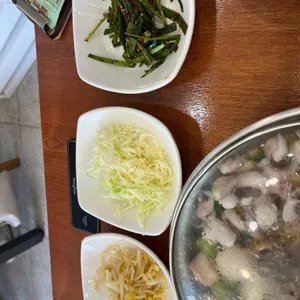 개미집 사진