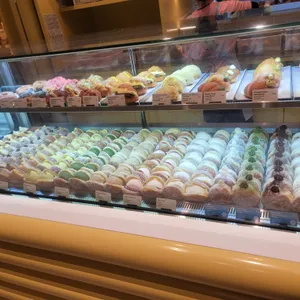 노티드 사진