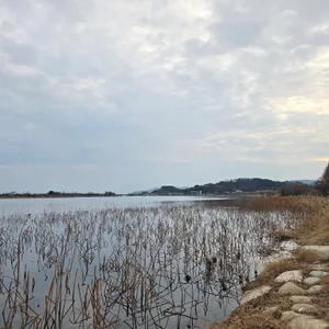 흐른 리뷰 사진