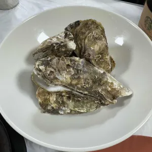 해삼 사진