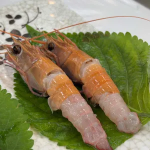 동해수산회센타 사진