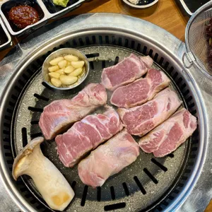 도톰 사진