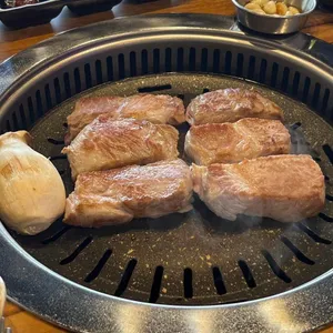 도톰 사진
