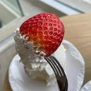 더강 사진