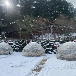 더강 리뷰 사진