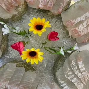 해남회조개구이 사진 2