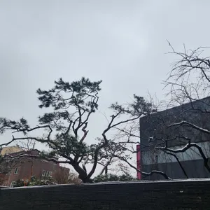 본수원갈비 리뷰 사진