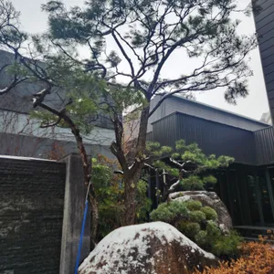 본수원갈비 리뷰 사진