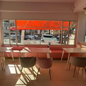 쟈흐다 리뷰 사진