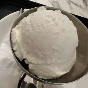테니 사진