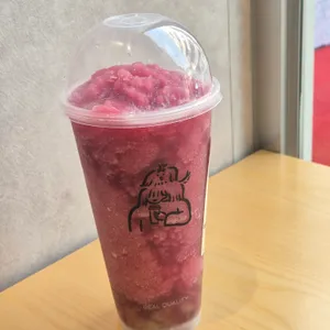 헤이티 사진