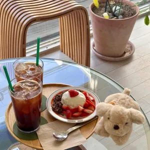 리피피 사진