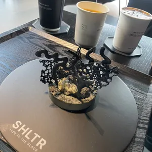 SHLTR [셜터] 사진
