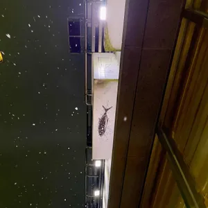 W코스 리뷰 사진
