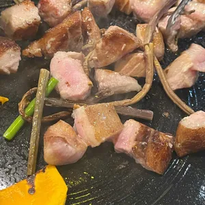 온비 사진