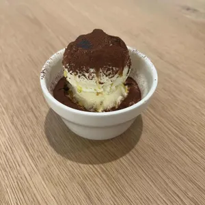 헤일로로스터스 사진