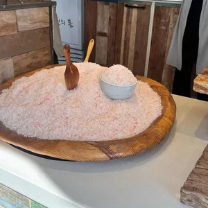 염전의봄 사진
