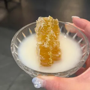 부치곰 사진