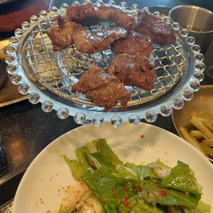 우화 사진