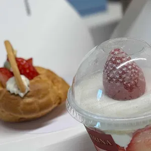 카타리나 사진