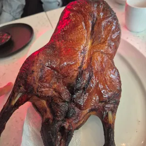페이딤 사진