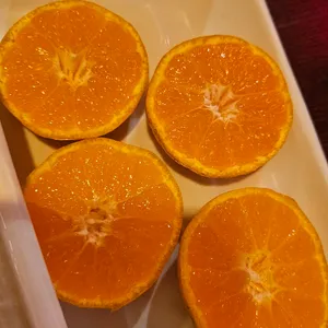 치어스 사진 2