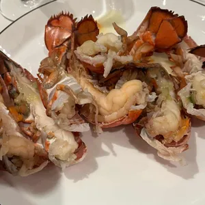 피스트 사진