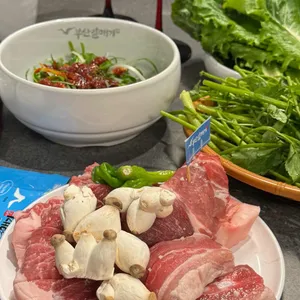 부산갈매기 사진