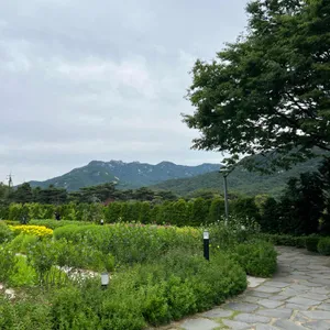 포인트빌 카페 리뷰 사진
