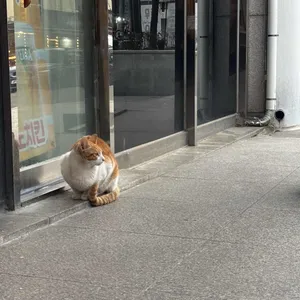 손문갈매기살 리뷰 사진