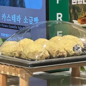 식물학 사진