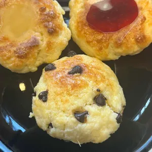 모트모스 사진