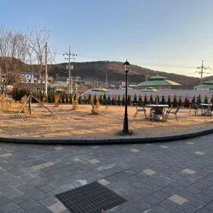 그리너리바스켓 리뷰 사진