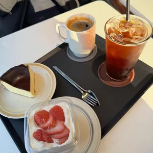 타이니닷 사진