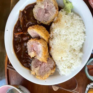 시오 사진