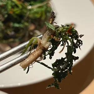 서낭당 사진