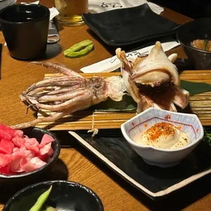 이자카야나무 사진