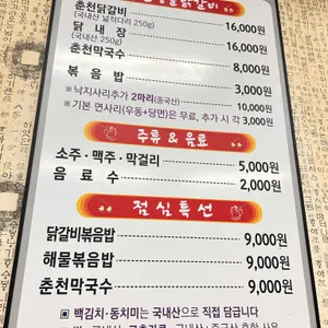춘천명물닭갈비 리뷰 사진