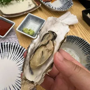 화담23 사진